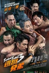 Breakout Brothers 3 ลูกผู้ชายแหกกรงเหล็ก 3 (2022) บรรยายไทย