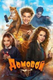 The House Elf (Domovoy) บ้านนี้เอลฟ์ดุ (2019)